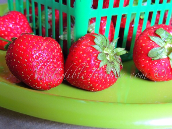 Fresh strawberries | My Edible Journey